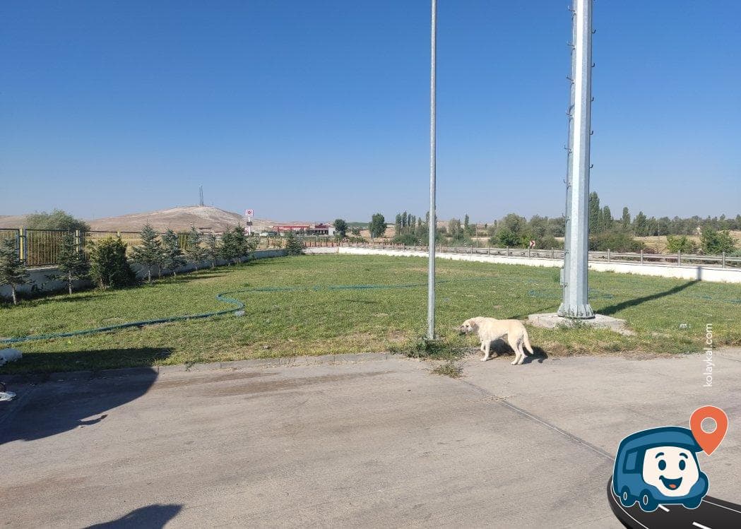 Ankara Afyonkarahisar Yolu Üzeri Akaryakıt İstasyonu - Sivrihisar, Eskişehir, foto 2