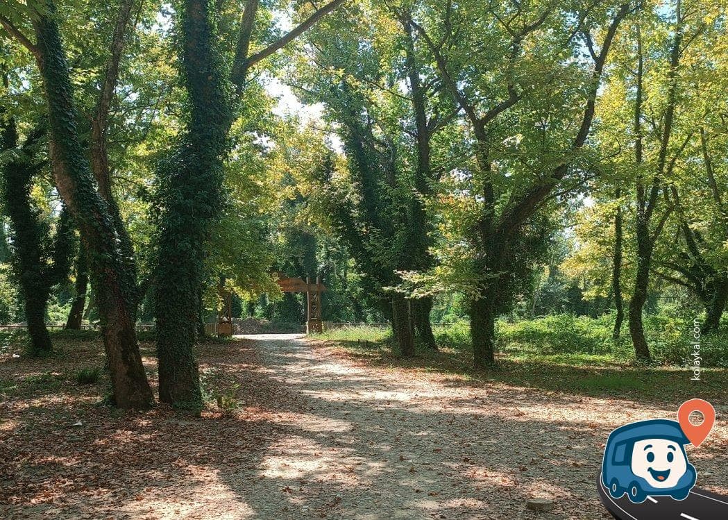 Karadeniz Ereğlisi Kamp ve Piknik Alanı - Ulus, Bartın, foto 1