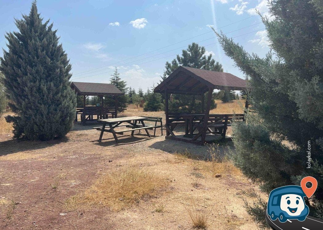 Piknik Alanı - Odunpazarı, Eskişehir, foto 2