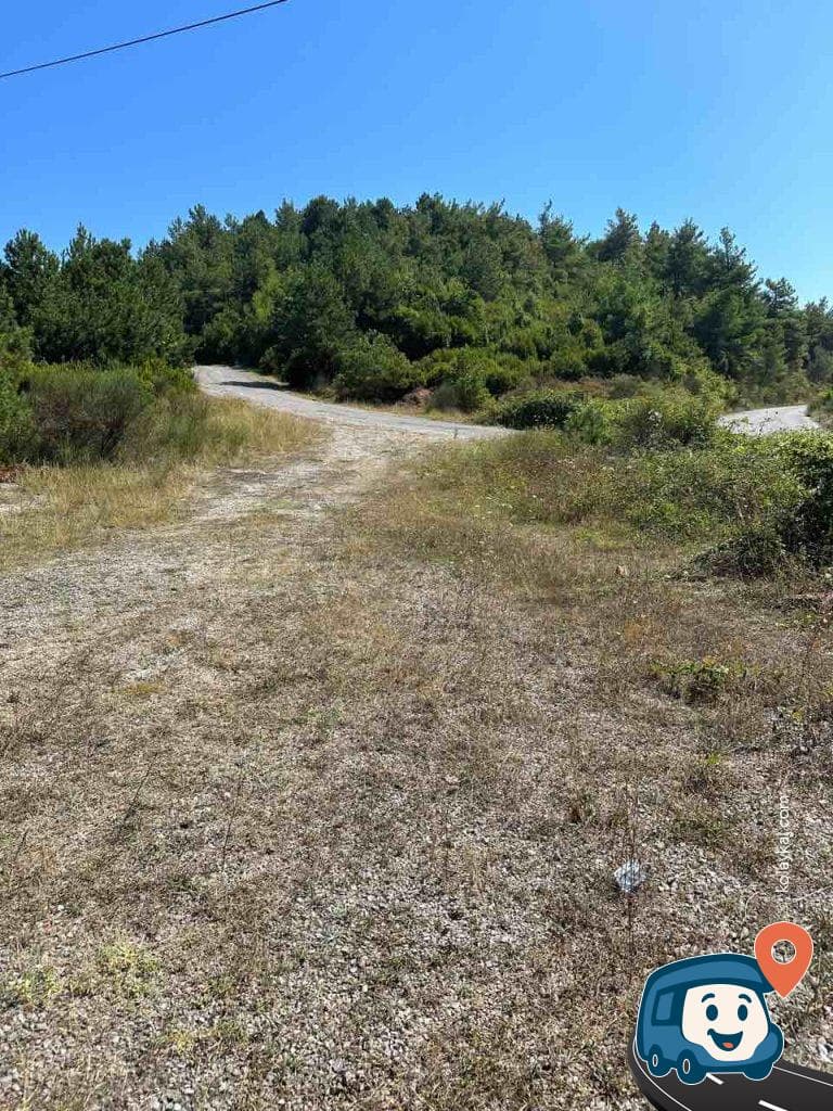 Yol Kenarı Kamp Alanı - Amasra, Bartın, foto 1