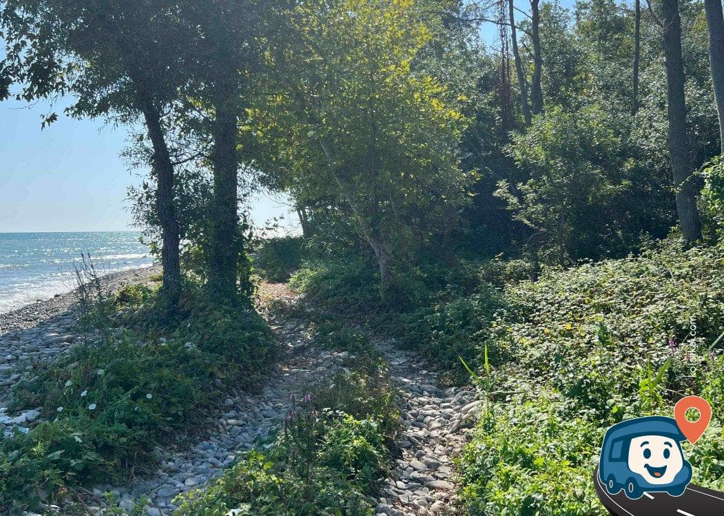 Sinop Sahil Kamp Alanı - Sinop Merkez, foto 2