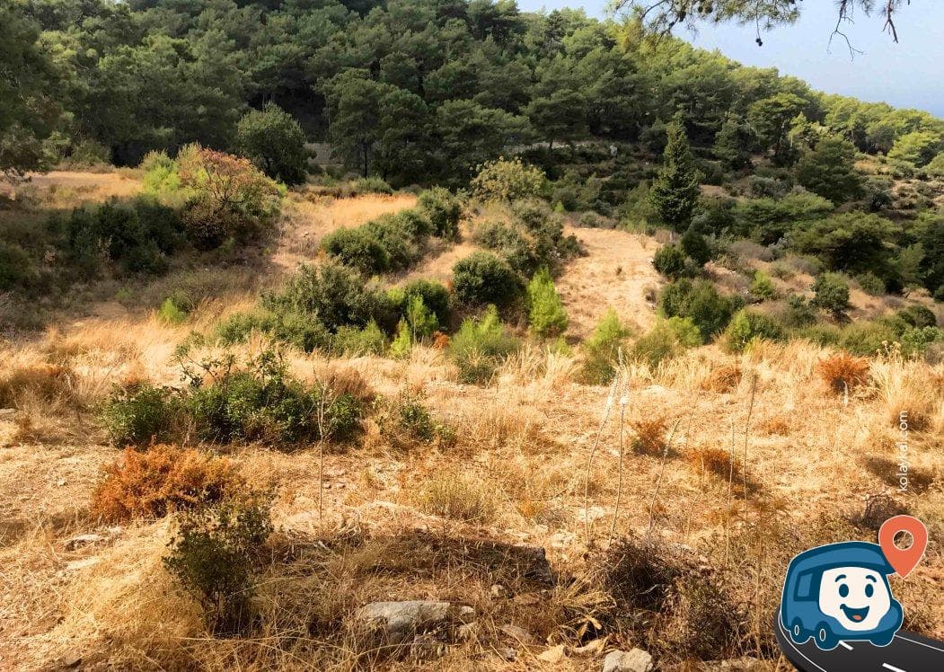 Aktaş Plajı Kamp Alanı - Fethiye, Muğla, foto 2