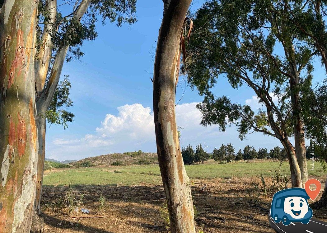 Datça Sahili Günübirlik Otopark ve Gölge Alanı - Muğla, foto 2