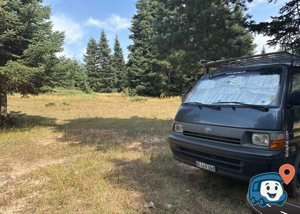 Orman Kamp Alanı - Gerede, Bolu, foto 3