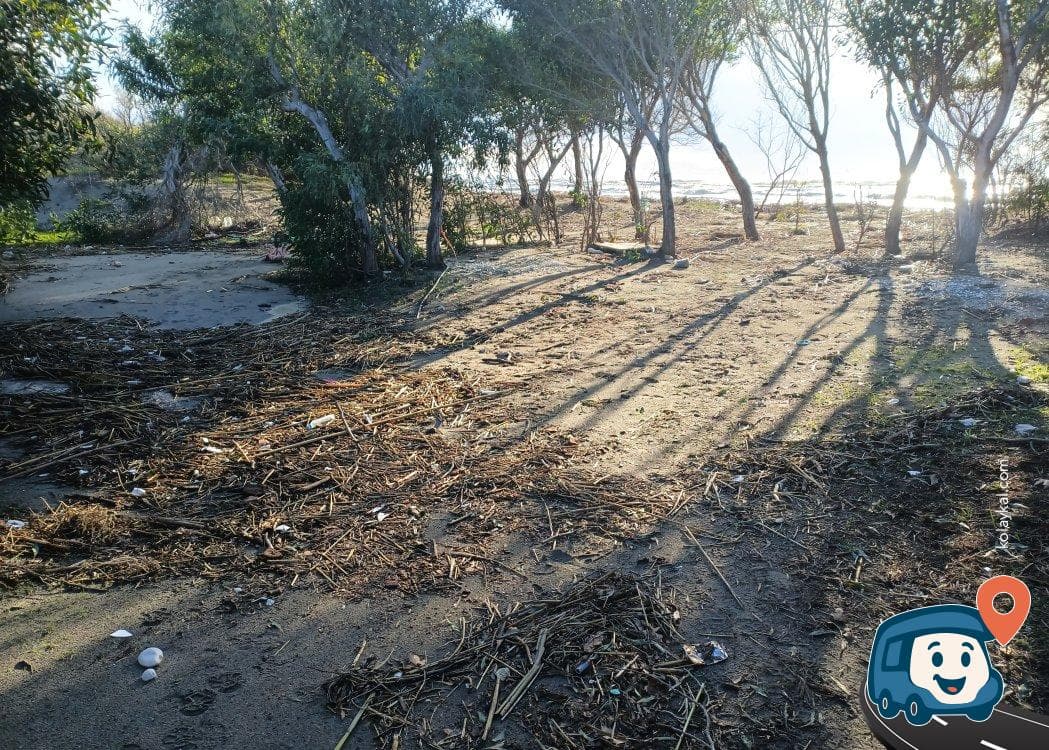 Patara Sahili Sakin Koy Kamp Alanı - Seydikemer, Muğla, foto 4