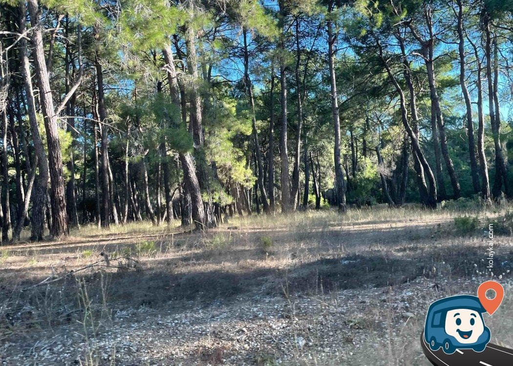 Manavgat Kamp Alanı - Antalya, foto 1