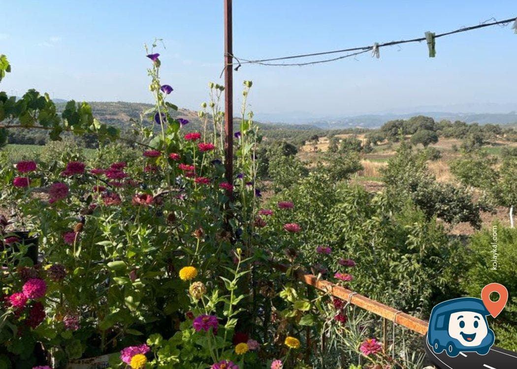 Özgür'ün Organik Çiftliği - Kırkağaç, Manisa, foto 1