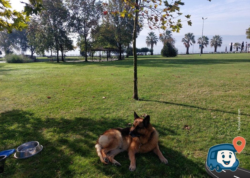 Plajyolu Sahil Parkı Kamping - İzmit, Kocaeli, foto 3