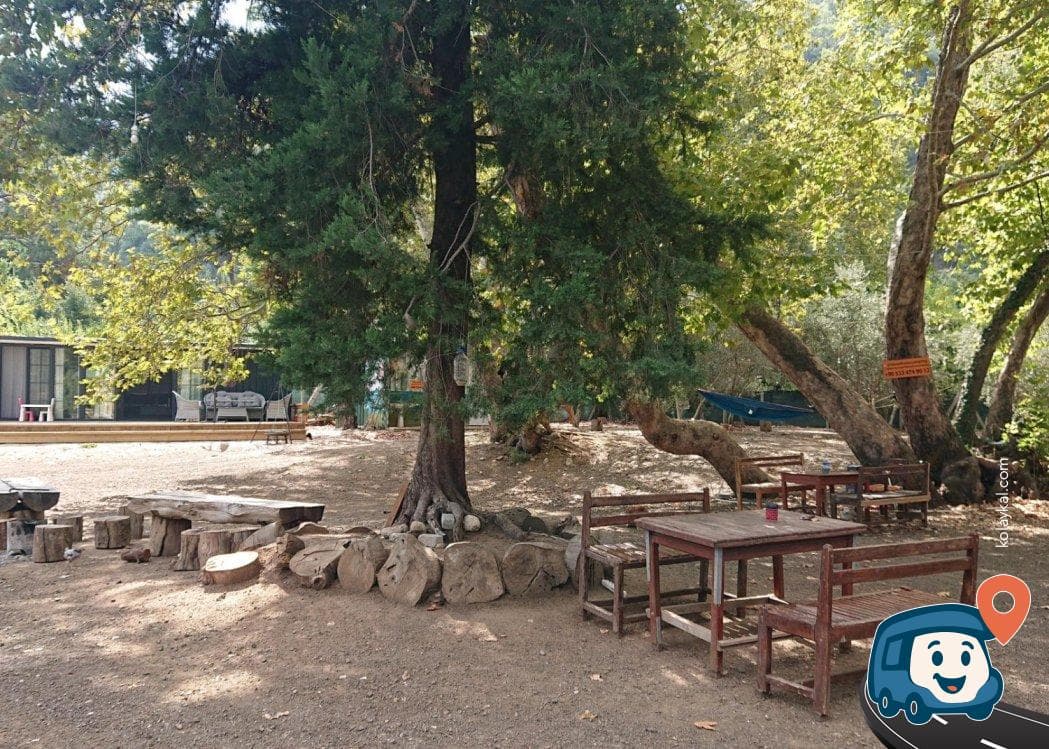 Tavuskuşu Camping - Kemer, Antalya, foto 2