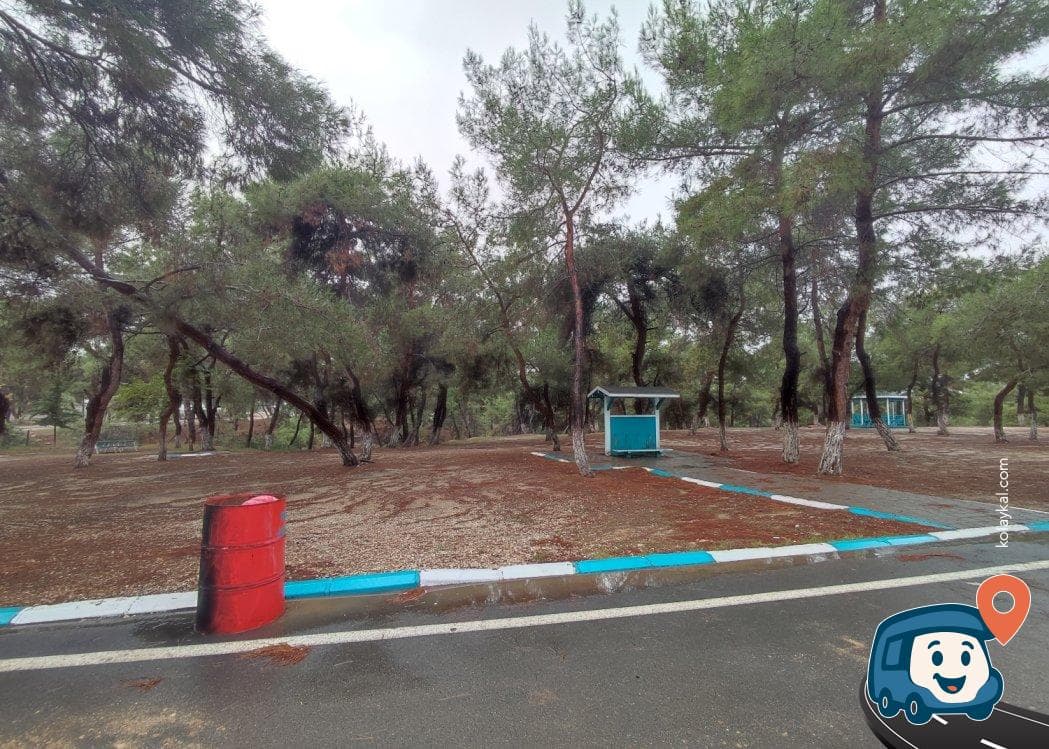 Yörük Ormanı - Sarıçam, Adana, foto 4