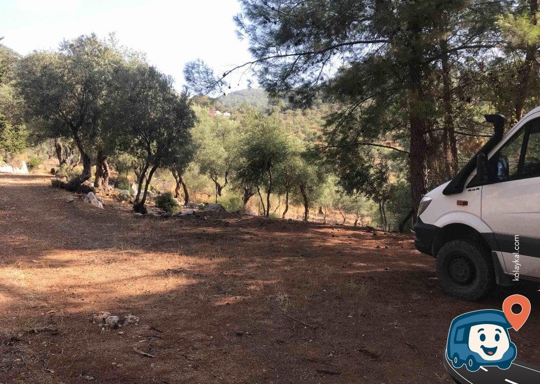 Caretta Sahili Yakınında Sakin Kamp Alanı - Ortaca, Muğla, foto 1