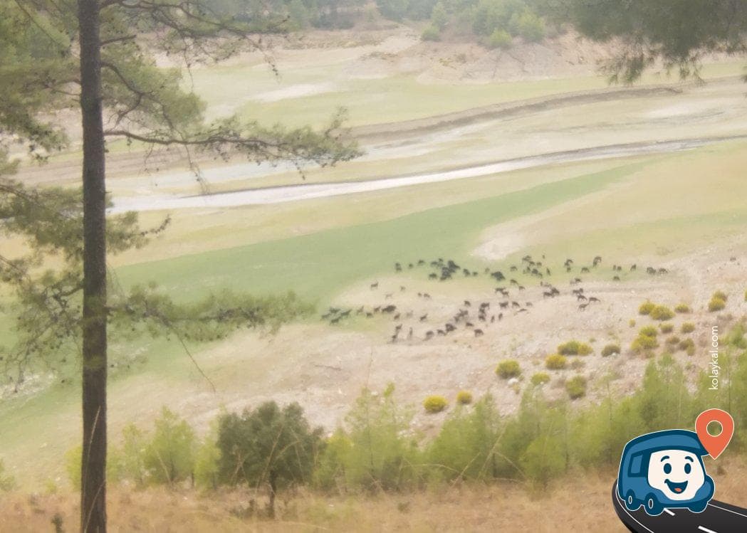 Beyşehir Gölü Yakını Orman Kampı - Sütçüler, Isparta, foto 2