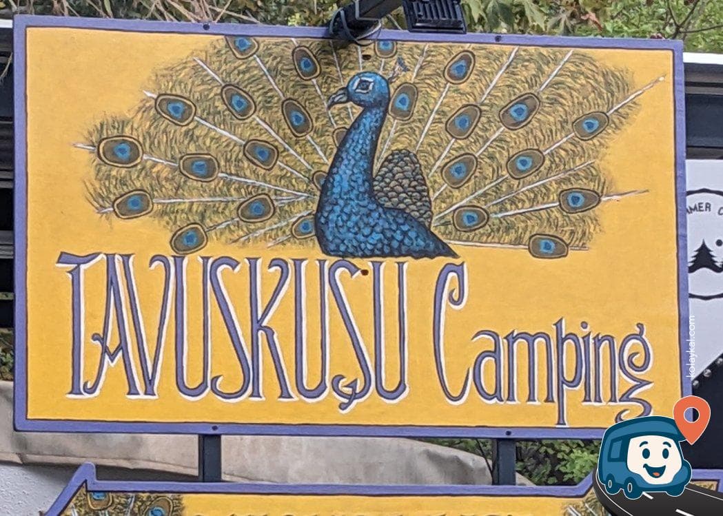 Tavuskuşu Camping - Kemer, Antalya, foto 4
