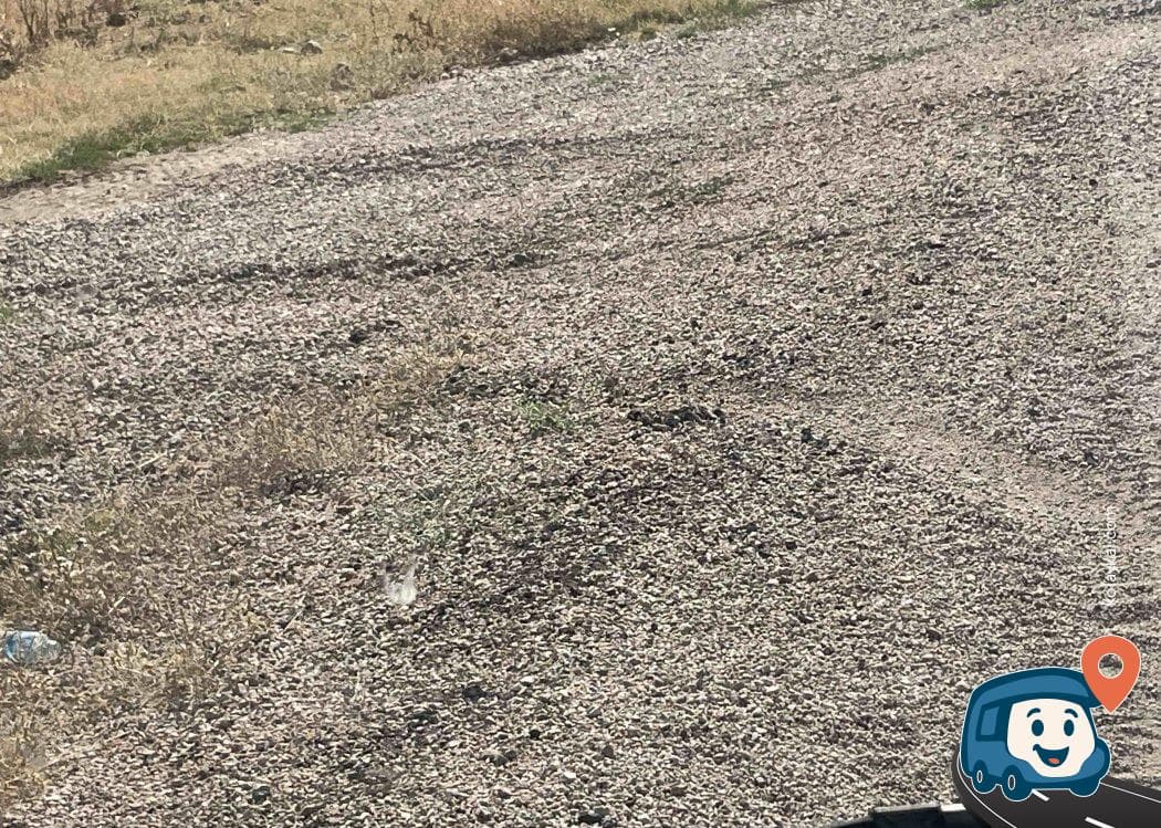 D260 Yakınında Sakin Kamp Alanı - Polatlı, Ankara, foto 2
