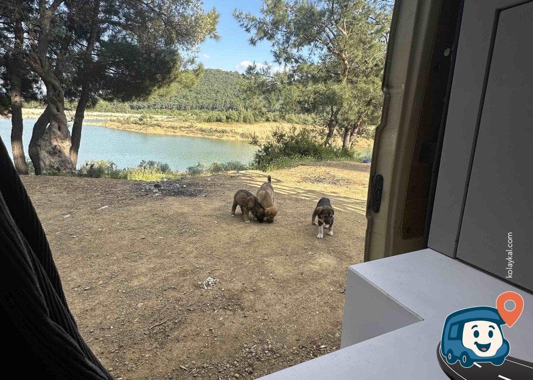 Ataköy Baraj Gölü Kamp Alanı - Menderes, İzmir, foto 3