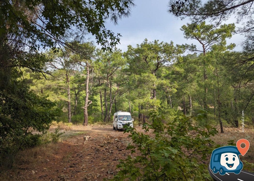 Dalaman Termal Tesisler Yakını Ormanlık Kamp Alanı - Köyceğiz, Muğla, foto 2