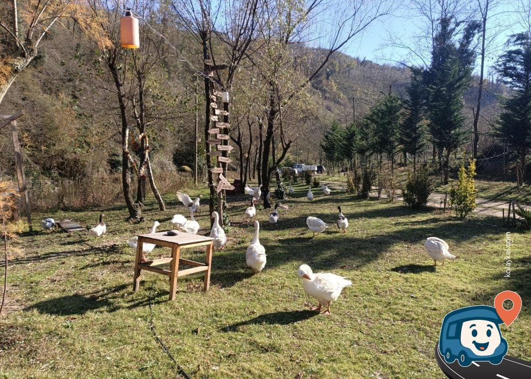 Uzungirmak Kamp Alanı - Ulubey, Ordu, foto 4