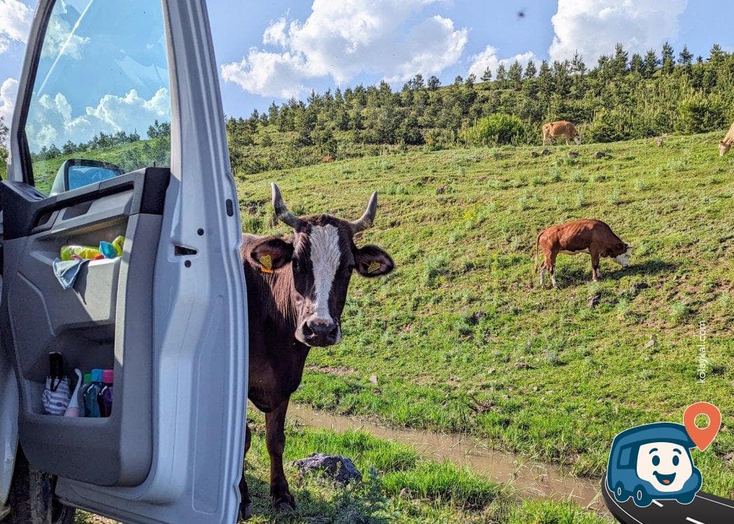 Kars Vadisi Girişi Mola Yeri - Susuz, foto 2