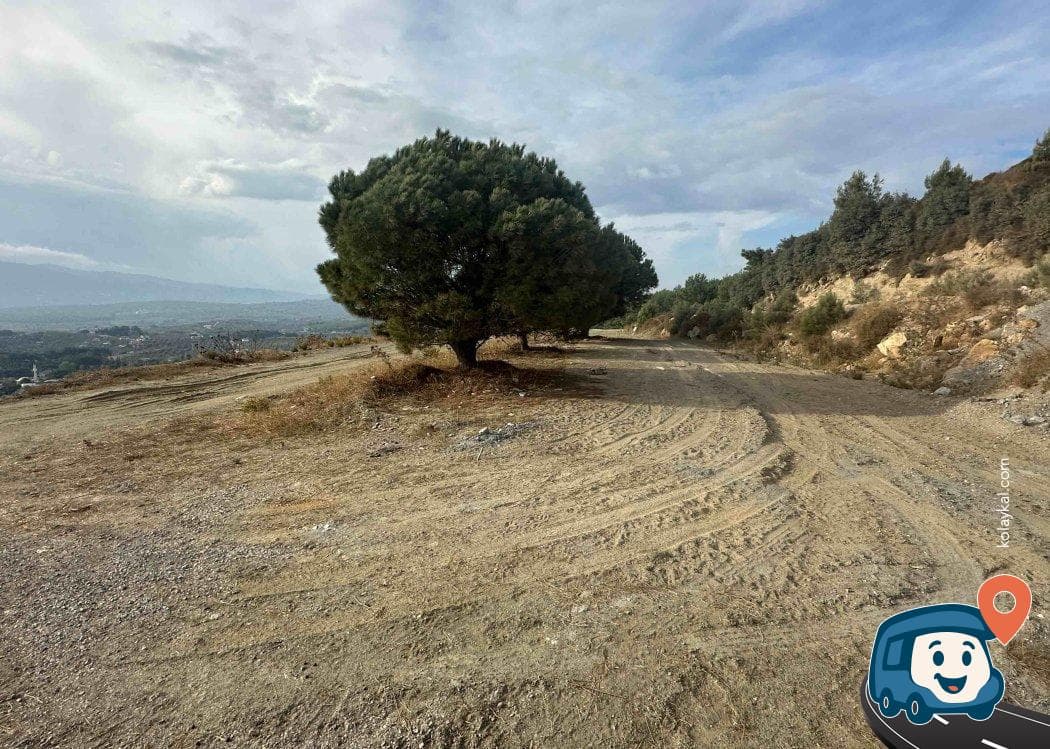 Efes Antik Kenti Yakınında Manzaralı Kamp Alanı - Selçuk, İzmir, foto 1