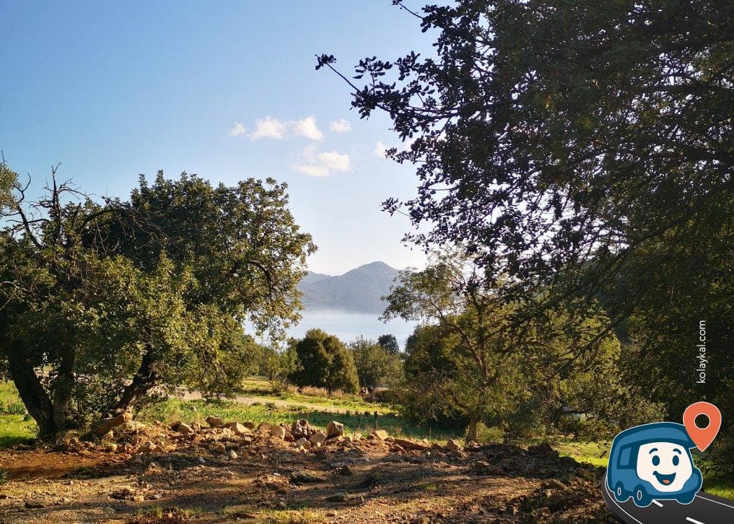 Köyceğiz Eko Patika Yakını Zeytinlik Kamp Alanı - Dalaman, Muğla, foto 1