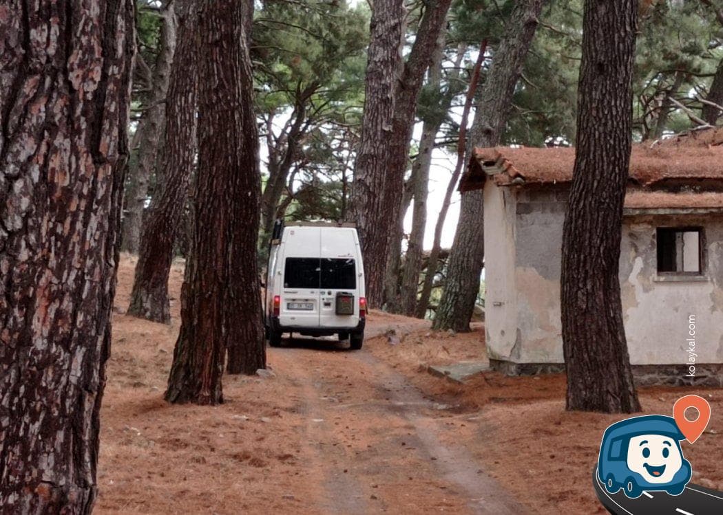 Orman İçi Kamp ve Konaklama Alanı - Karşıyaka, İzmir, foto 1