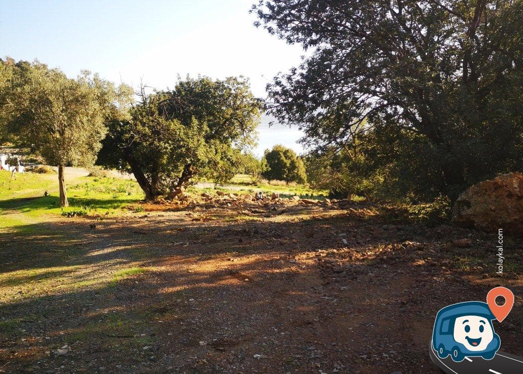 Köyceğiz Eko Patika Yakını Zeytinlik Kamp Alanı - Dalaman, Muğla, foto 2