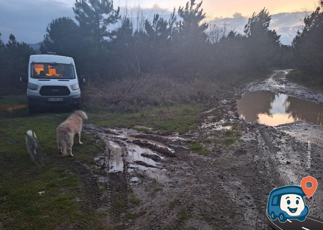Termal Orman İçi Off Road Kamp Alanı - Yalova, foto 1