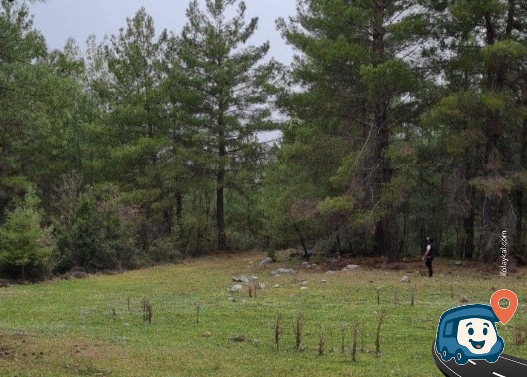 Orman İçinde Sakin Kamp Alanı - Menteşe, Muğla, foto 1