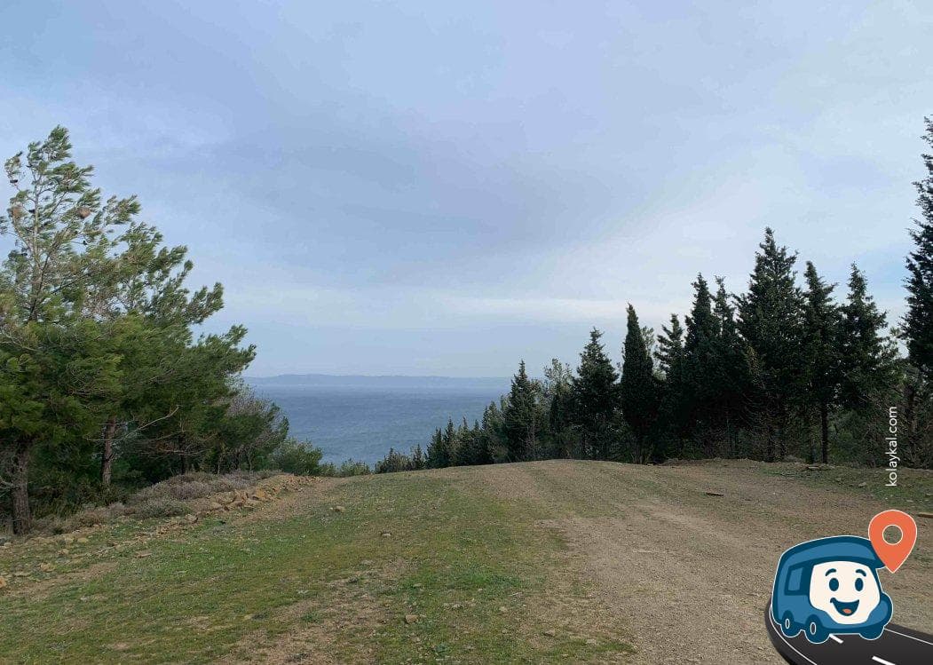Saroz Körfezi Orman Kamp Alanı - Gelibolu, Çanakkale, foto 1