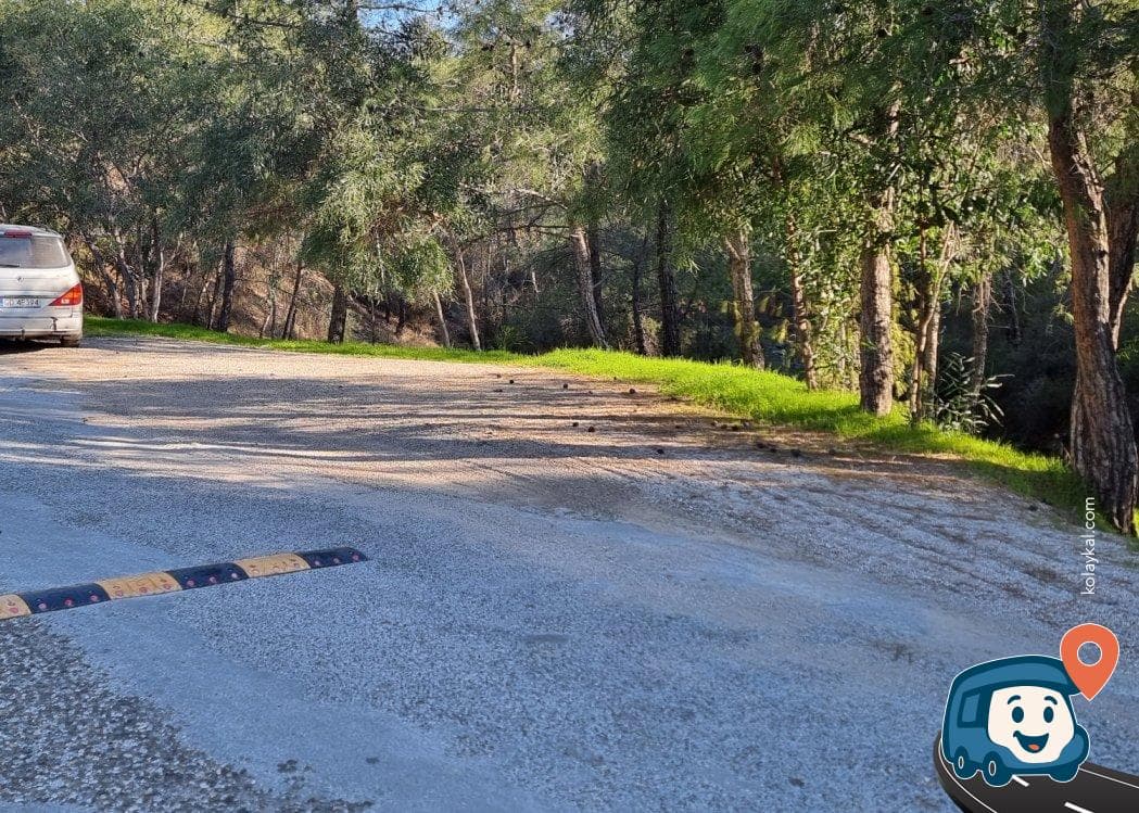 Katrancı Tabiat Parkı Kamp Alanı - Fethiye, Muğla, foto 1