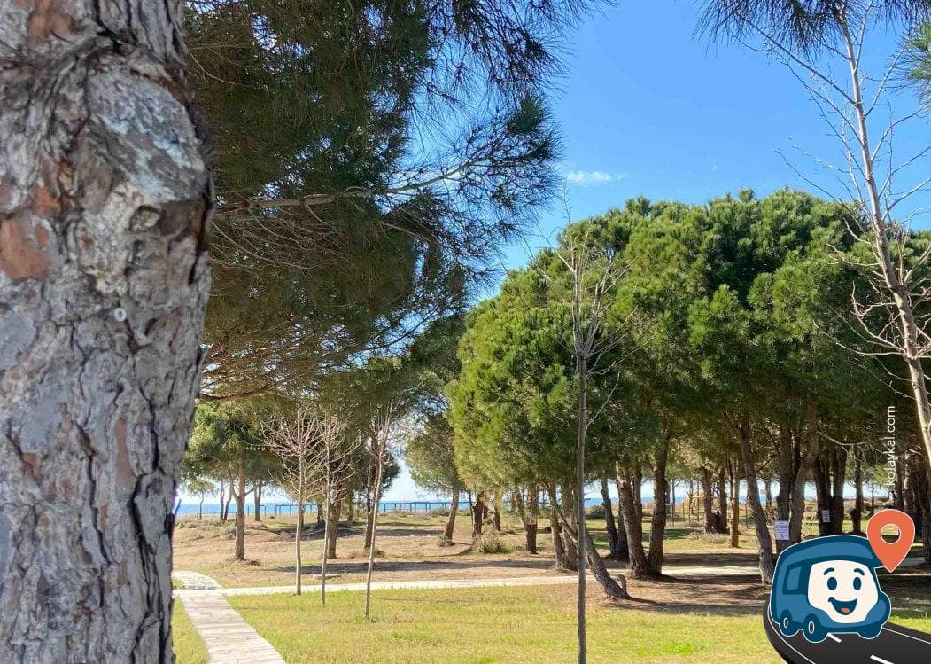 Ulualan Halk Plajı ve Mesire Alanı - Manavgat, Antalya, foto 3