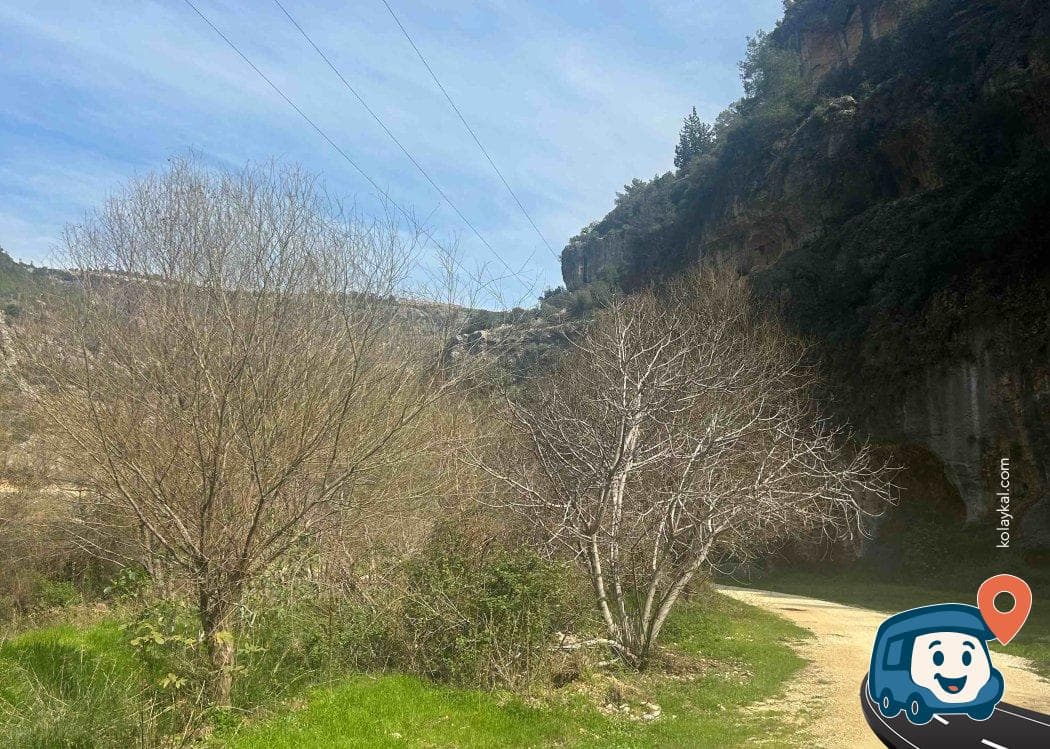 Kayacı Vadisi Kamp ve Doğa Yürüyüşü Alanı - Erdemli, Mersin, foto 2