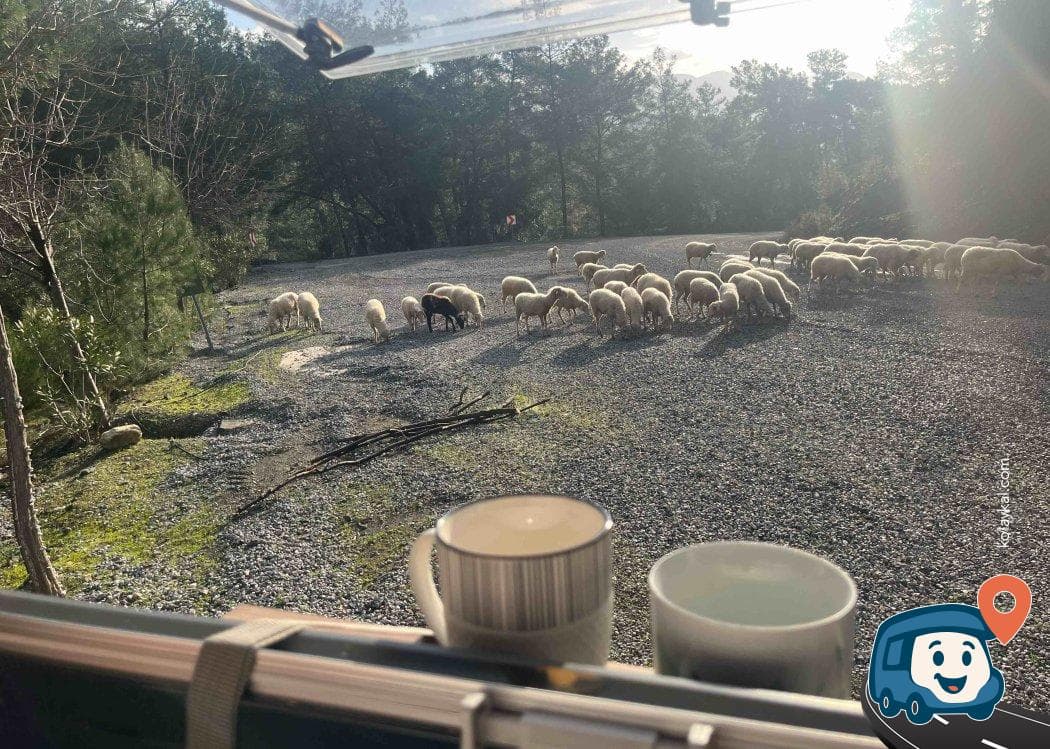 Dalyan Kanalı Yakınında Orman İçi Sakin Kamp ve Park Yeri - Köyceğiz, Muğla, foto 2