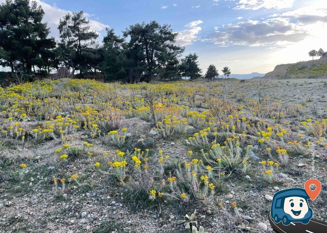 Acıgöl Yakınında Kamp ve Konaklama Alanı - Dazkırı, Afyonkarahisar, foto 1