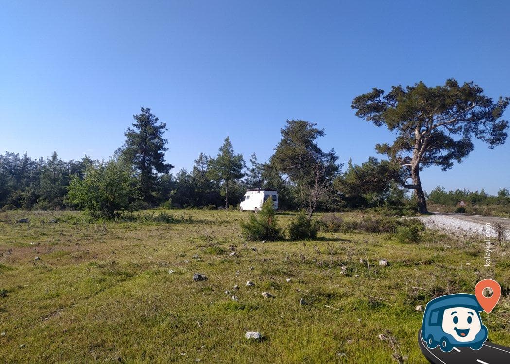 Milas Yakınında Sakin Yol Kenarı Kamp Alanı - Bodrum, Muğla, foto 2