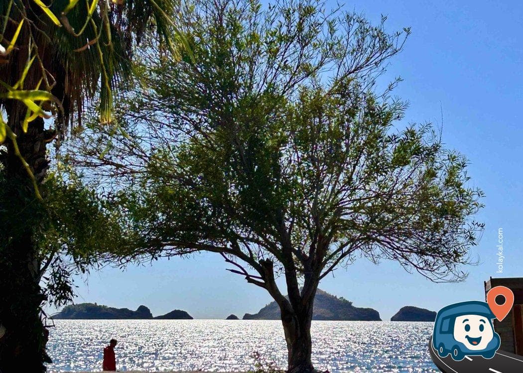 Yanıklar Doğa Kamp - Fethiye, Muğla, foto 1