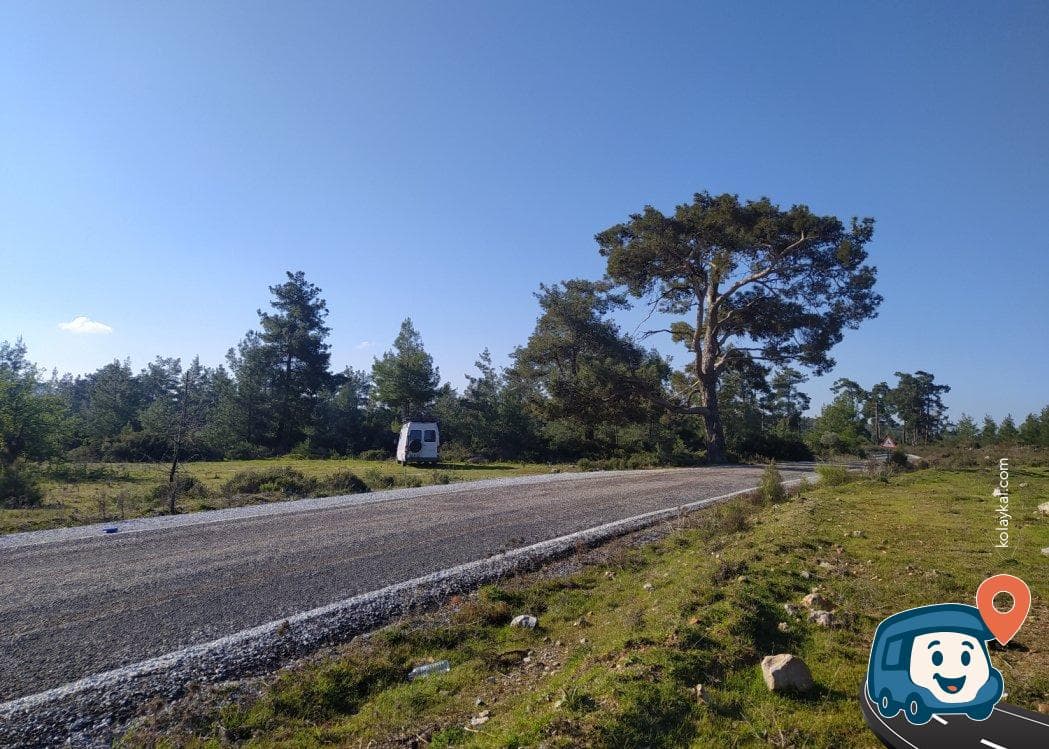 Milas Yakınında Sakin Yol Kenarı Kamp Alanı - Bodrum, Muğla, foto 1