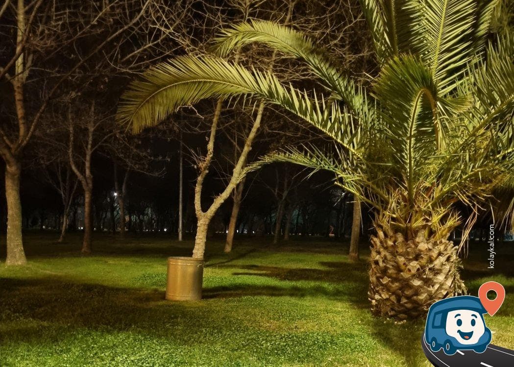 Terme Halk Plajı Kamp Alanı - Canik, Samsun, foto 3