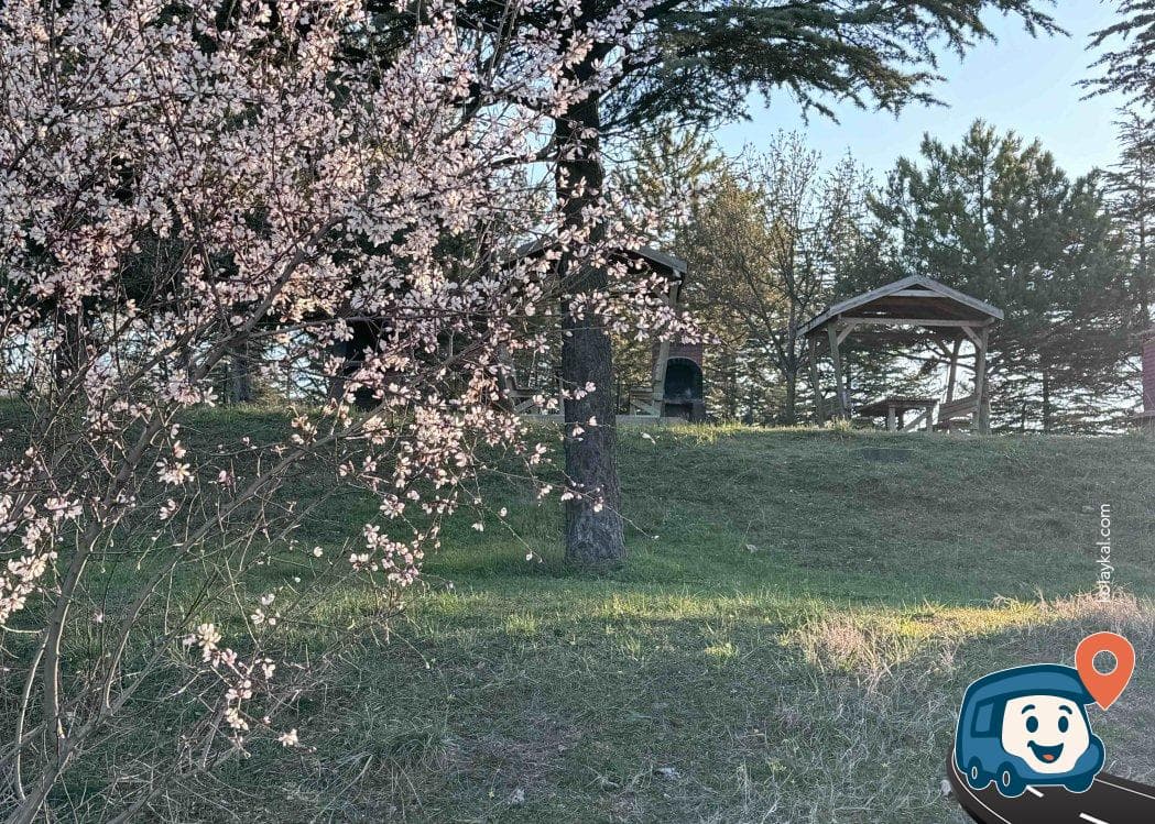 Eskişehir Çevre Yolu Dinlenme Alanı - Odunpazarı, foto 2
