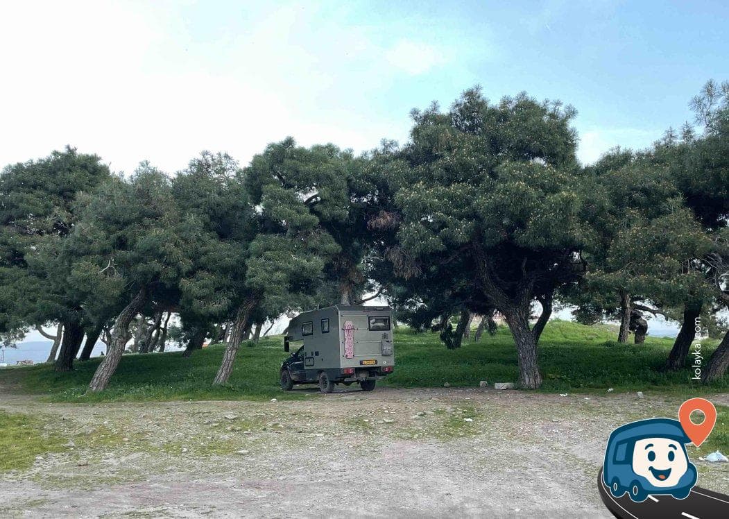 Pergamon Akropolisi Yaban Kamp Alanı - Bergama, İzmir, foto 4