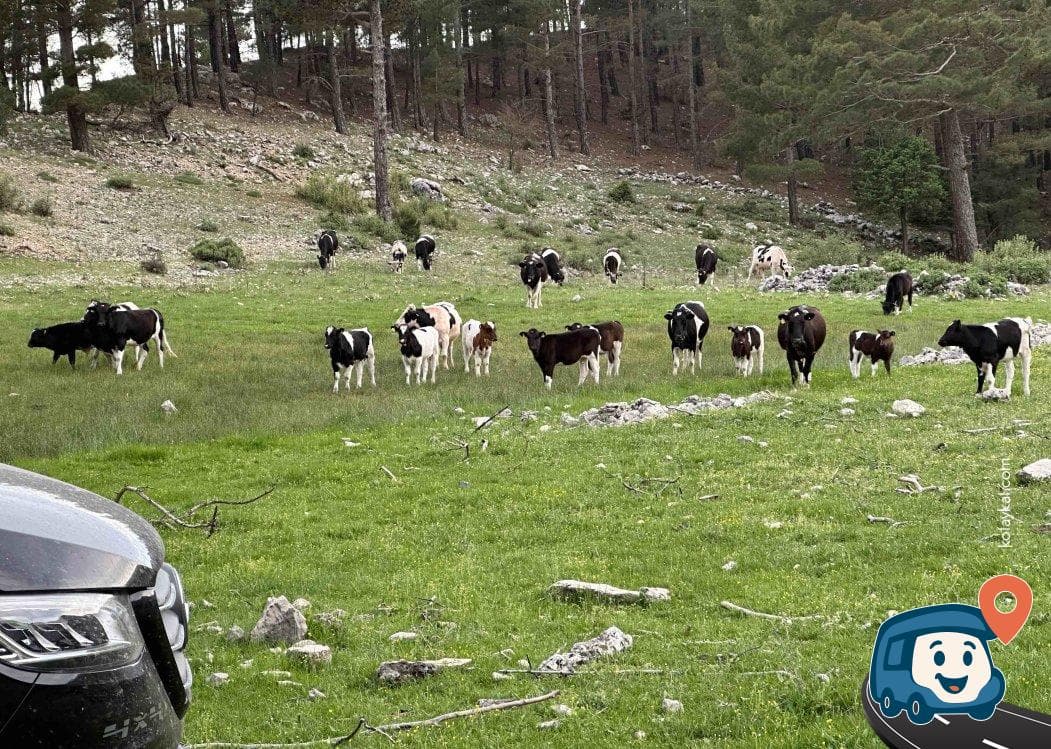 Toros Dağları Sırtında Manzaralı Kamp Alanı - Kumluca, Antalya, foto 1
