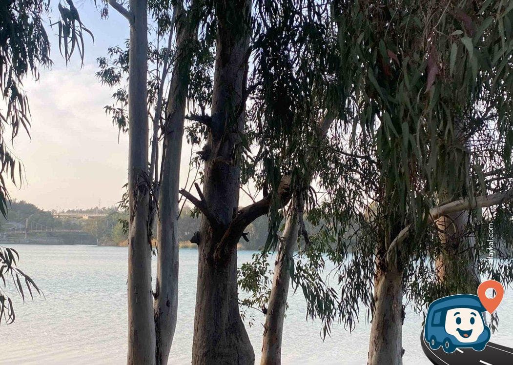 Seyhan Nehri Kenarı Otopark ve Dinlenme Alanı - Çukurova, Adana, foto 1