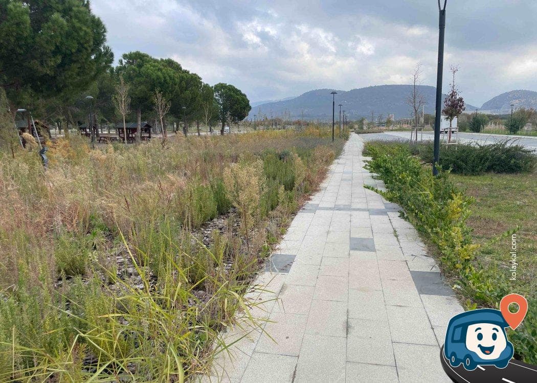 Piknik ve Kamp Alanı - Havran, Balıkesir, foto 1