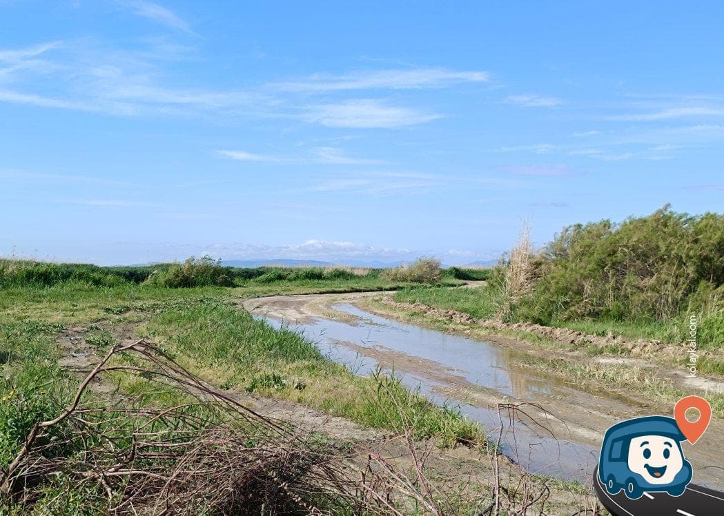 Nehir Kenarı Kamp Alanı - Foça, İzmir, foto 2