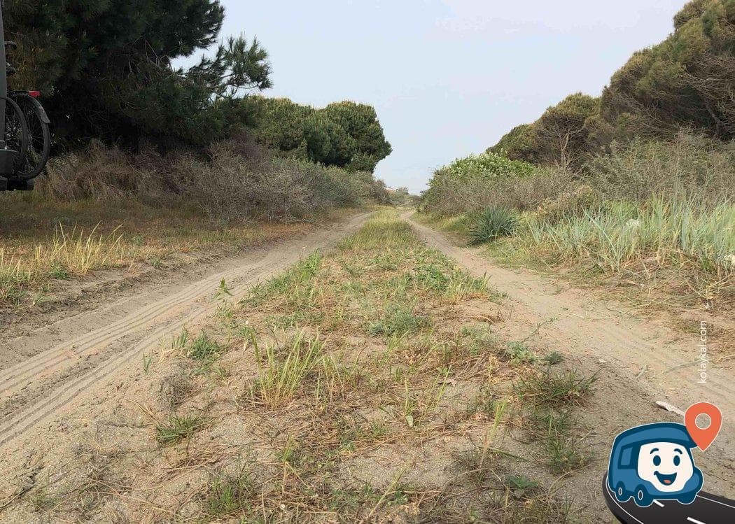 Kızılırmak Deltası Kamp Alanı - Alaçam, Samsun, foto 2