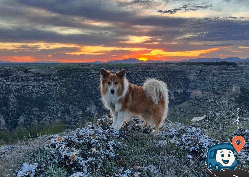 Kanyon Manzaralı Sakin Kamp Alanı - Ulubey, Uşak, foto 3