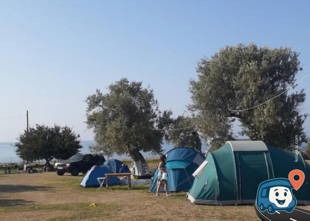 Salyangozyasam Kamp Alanı - Milas, Muğla, foto 7