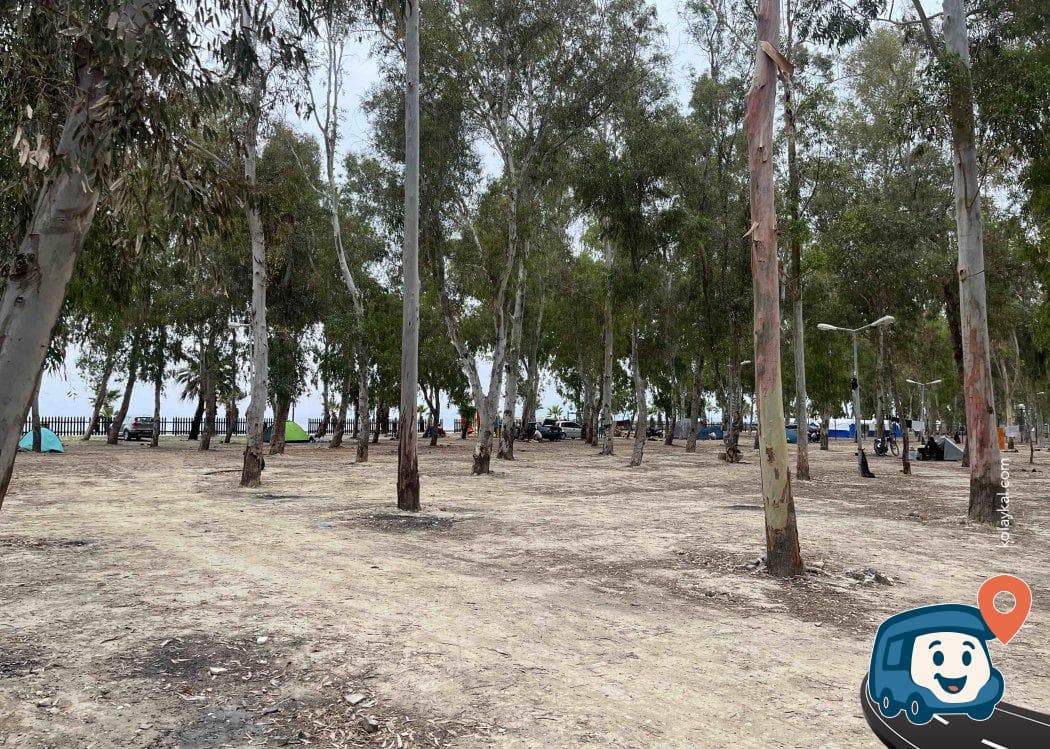 Kuşadası Milli Parkı Yanı Gizli Kamp ve Park Alanı - Aydın, foto 1