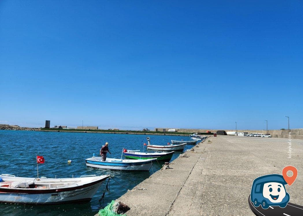 Gideros Koyu Liman Otoparkı ve Kamp Alanı - Cide, Kastamonu, foto 4