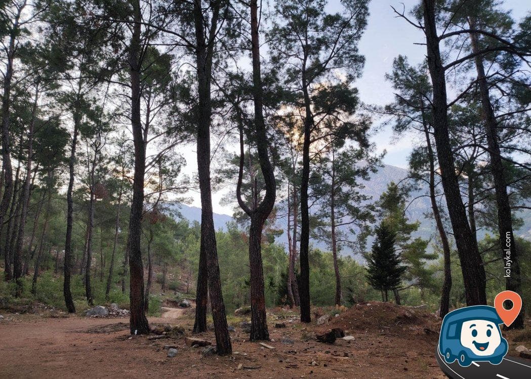 Beycik Yakınlarında Tahtalı Dağı Manzaralı Orman Kamp Alanı - Kemer, Antalya, foto 1
